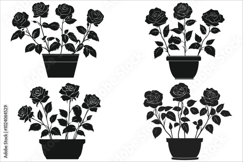 Set of rose flower silhouettes in pots vector. Decorative rose flower silhouettes in pots. Black rose flower pot silhouette. Silhouettes of roses in flower pot. Elegant rose flower silhouettes in pots