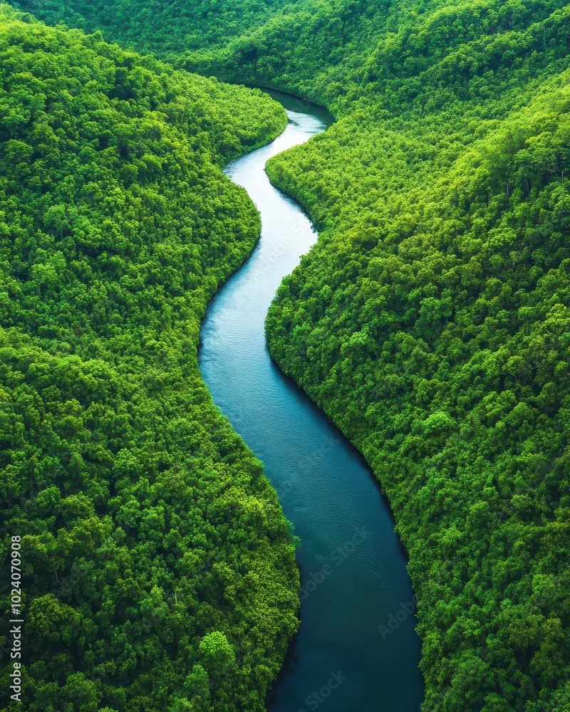 An aerial view of a winding river flowing through a lush green forest. The river is a vibrant blue and the forest is a deep green creating a beautiful contrast An aerial view of a winding river flowing through a lush green forest. The river is a vibrant blue and the forest is a deep green creating a beautiful contrast