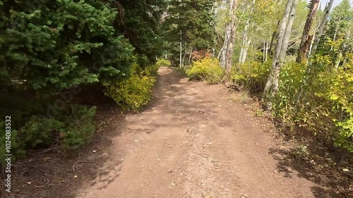 Off road ride Mountain forest trail Utah POV. Driving dirt road mountain sport utility vehicle, SxS. Autumn fall season. Utah POV. Sport and recreation. Fun and adventure riding in central Utah. photo