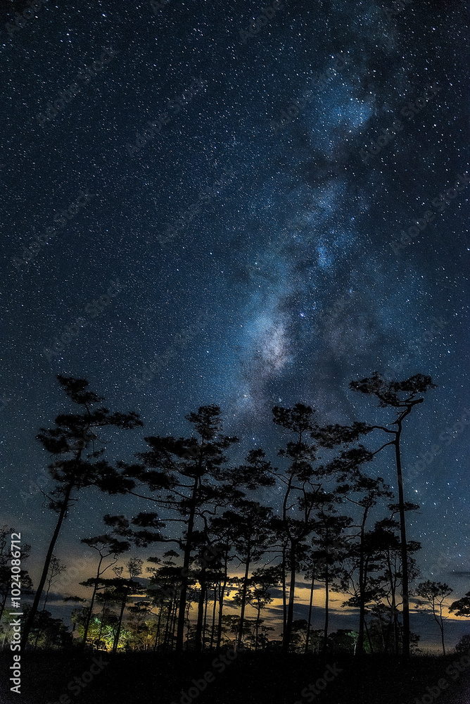 The bright stars of the Milky Way in the night sky