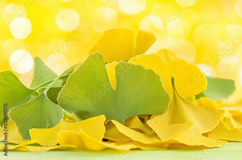 Ginkgo leaves background in early autumn photo