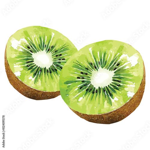 kiwi fruit in watercolor illustration style, isolated vector on white background