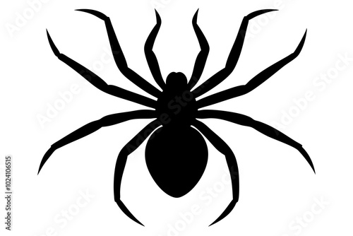 Spider | vector silhouette illustration on white background