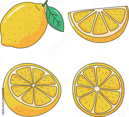 Lemon, cut fresh lemon illustration