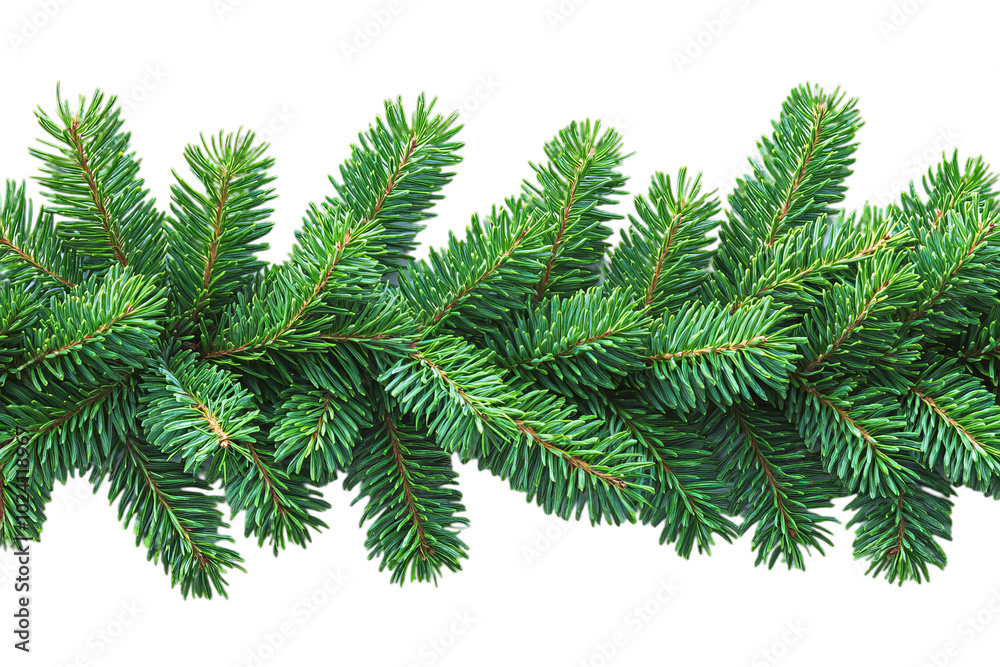 Close-up of Lush Pine Branches for Holiday Decor Close-up of Lush Pine Branches for Holiday Decor