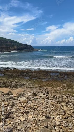 playa de toa Alta en Puerto Rico  photo