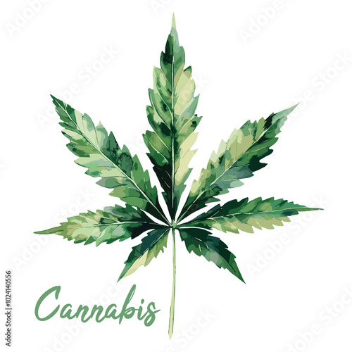 cannabis leaf in watercolor illustration style, isolated vector on white background