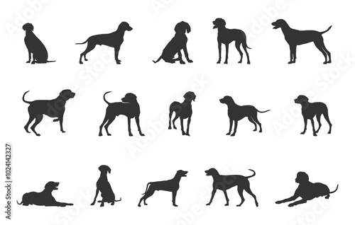 Weimaraner dog silhouette, Weimaraner dog svg, Weimaraner svg, Weimaraner silhouette, Weimaraner dog vector bundle.


