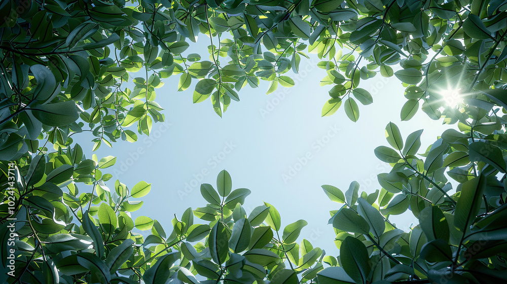leaves in white background leaves in white background