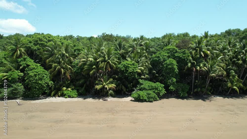 Tropical Palm Tree Beach in Costa Rica (Uvita Beach) - Filmed with a Drone. Different shots available in my portfolio. Tropical Palm Tree Beach in Costa Rica (Uvita Beach) - Filmed with a Drone. Different shots available in my portfolio.