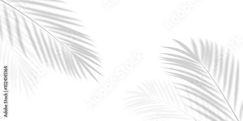 Abstract background of palm leaves or coconut leaves with gradient. Natural pattern