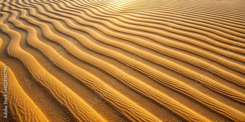 Low angle abstract desert sand pattern shaped by sunlight and wind formed ripples