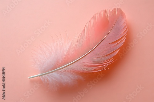  Soft Pink Feather on Peachy Background for Elegant Design