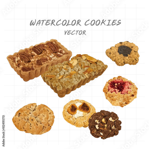 chocolate chip cookies on white background
