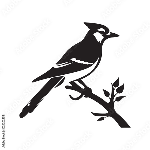 A black silhouette set Blue Jay, Clipart on a white Background, Simple and Clean design, simplistic