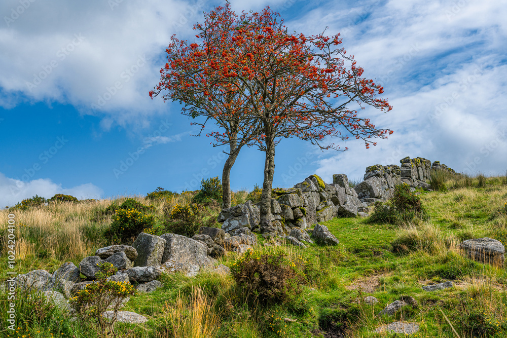 Bellever Tor Cairns, Dartmoor, Devon UK Bellever Tor Cairns, Dartmoor, Devon UK