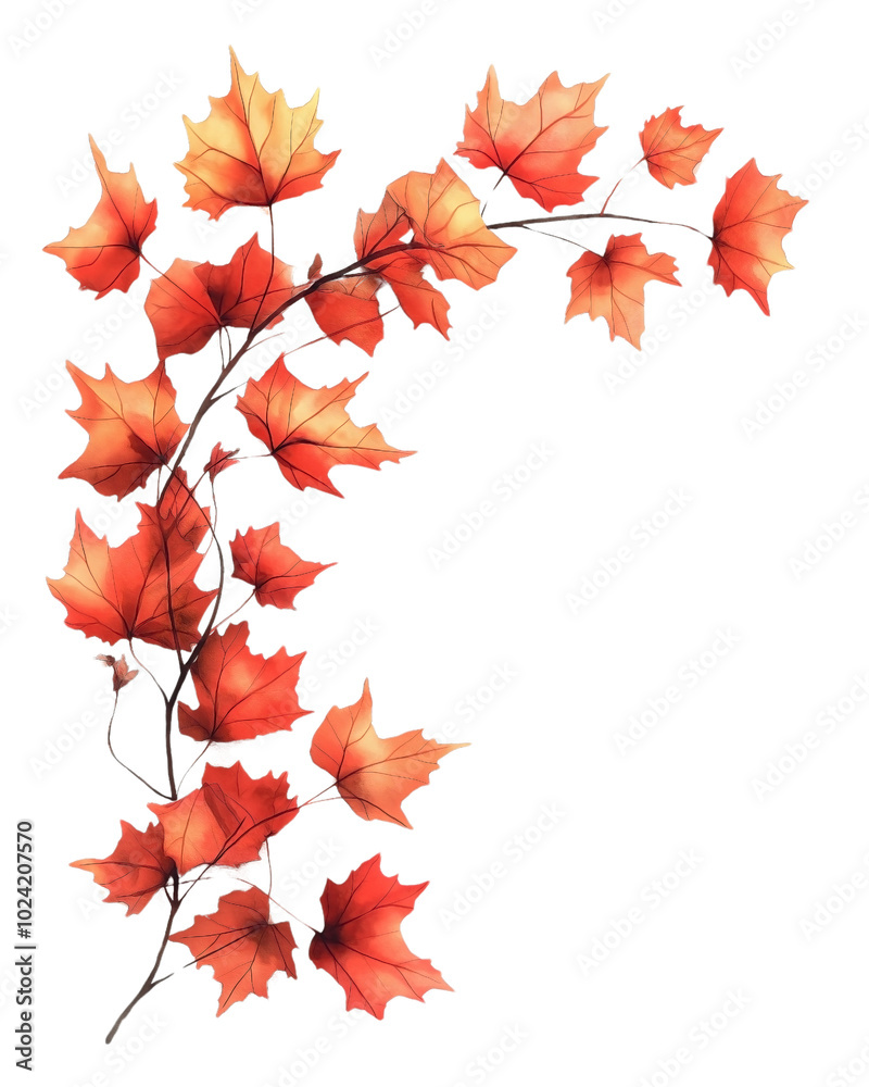 A delicate watercolor illustration of a maple leaf branch, isolated against a transparent background A delicate watercolor illustration of a maple leaf branch, isolated against a transparent background