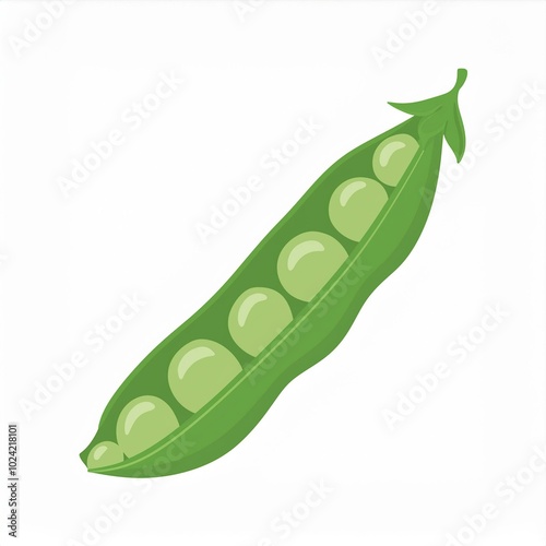 pea peas illustration isolated on white