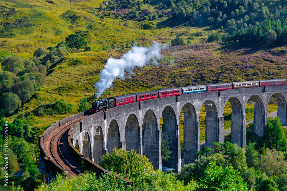 Fototapeta premium The Jacobite steam train on Glenfinnan viaduct in North West Highlands, Scotland, UK.