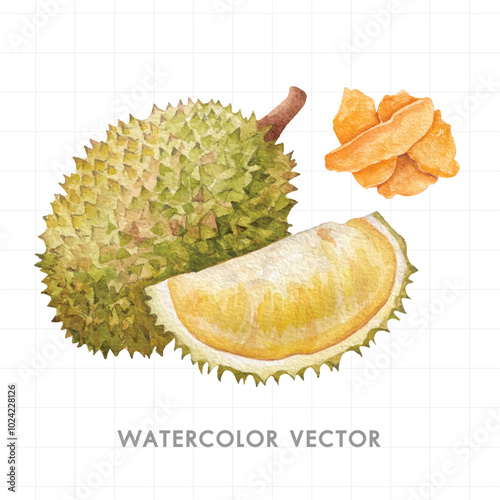 fruit on a white background