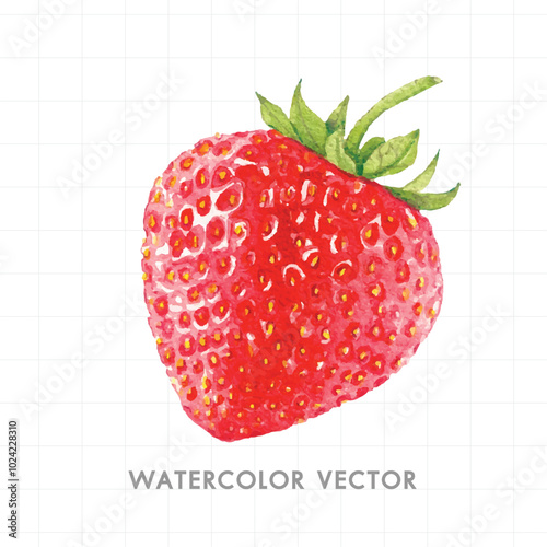 Single Strawberry Watercolor