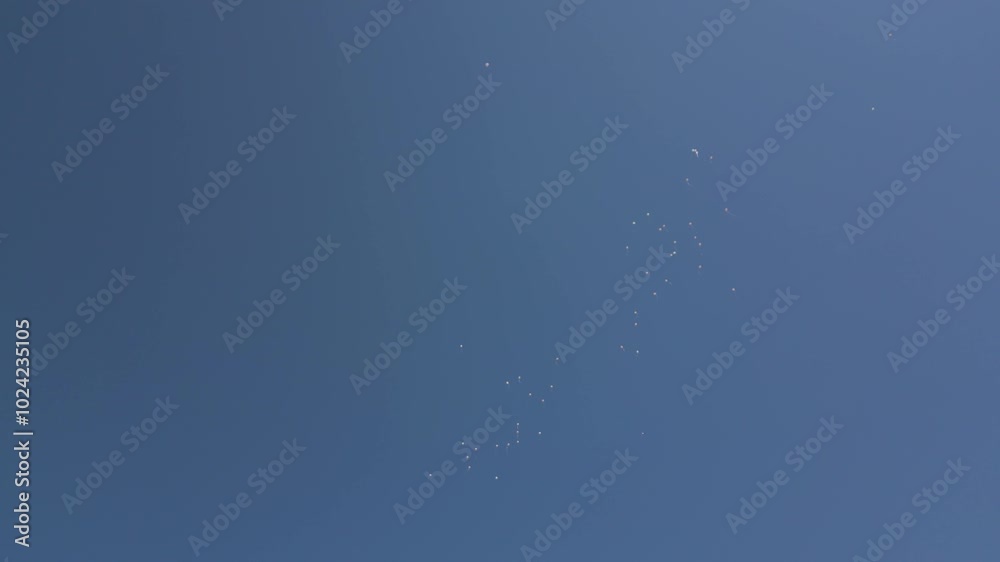 group of white balloons floating against a clear blue sky group of white balloons floating against a clear blue sky