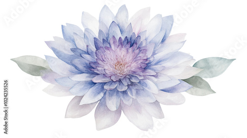 A Beautiful Collection of Watercolor Flowers