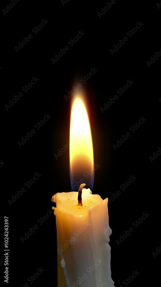 Wax Candles with Flame on Transparent Background Wax Candles with Flame on Transparent Background