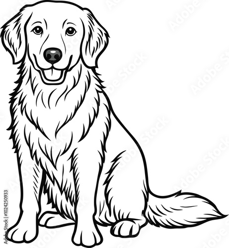 golden retriever dog