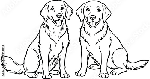 Golden Retriever dog breed animal vector line art sketch outline
