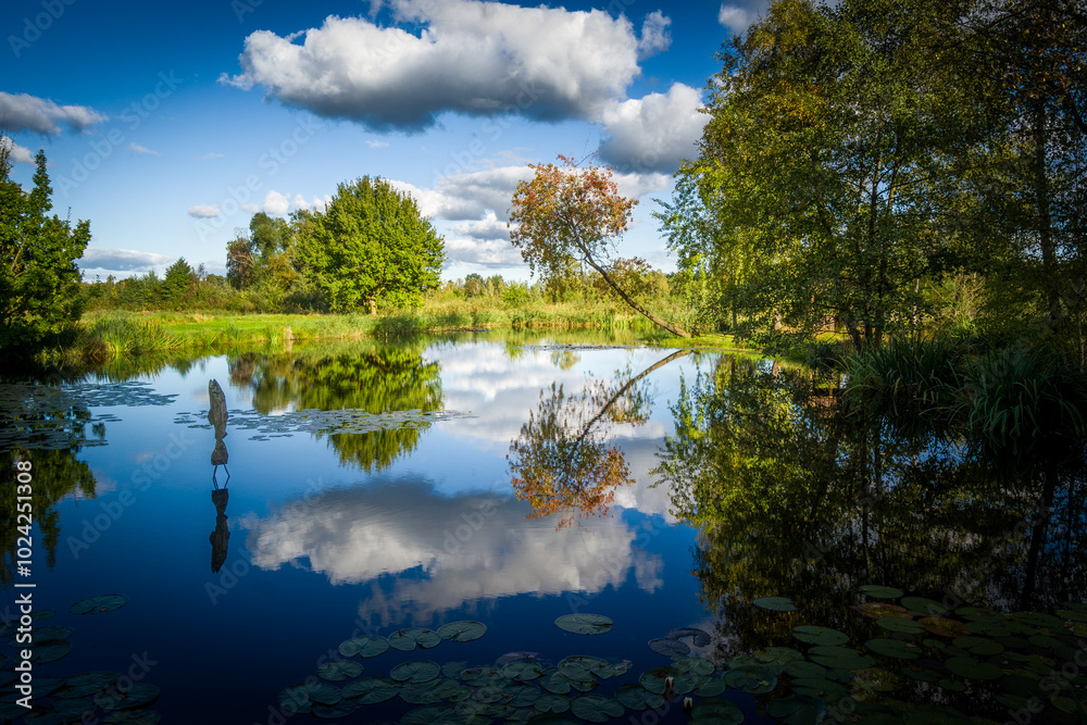 Obraz premium Herbststimmung im Landkreis Gifhorn