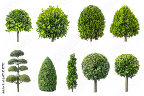 collection of topiary bushes in various shapes and sizes, isolated on white.