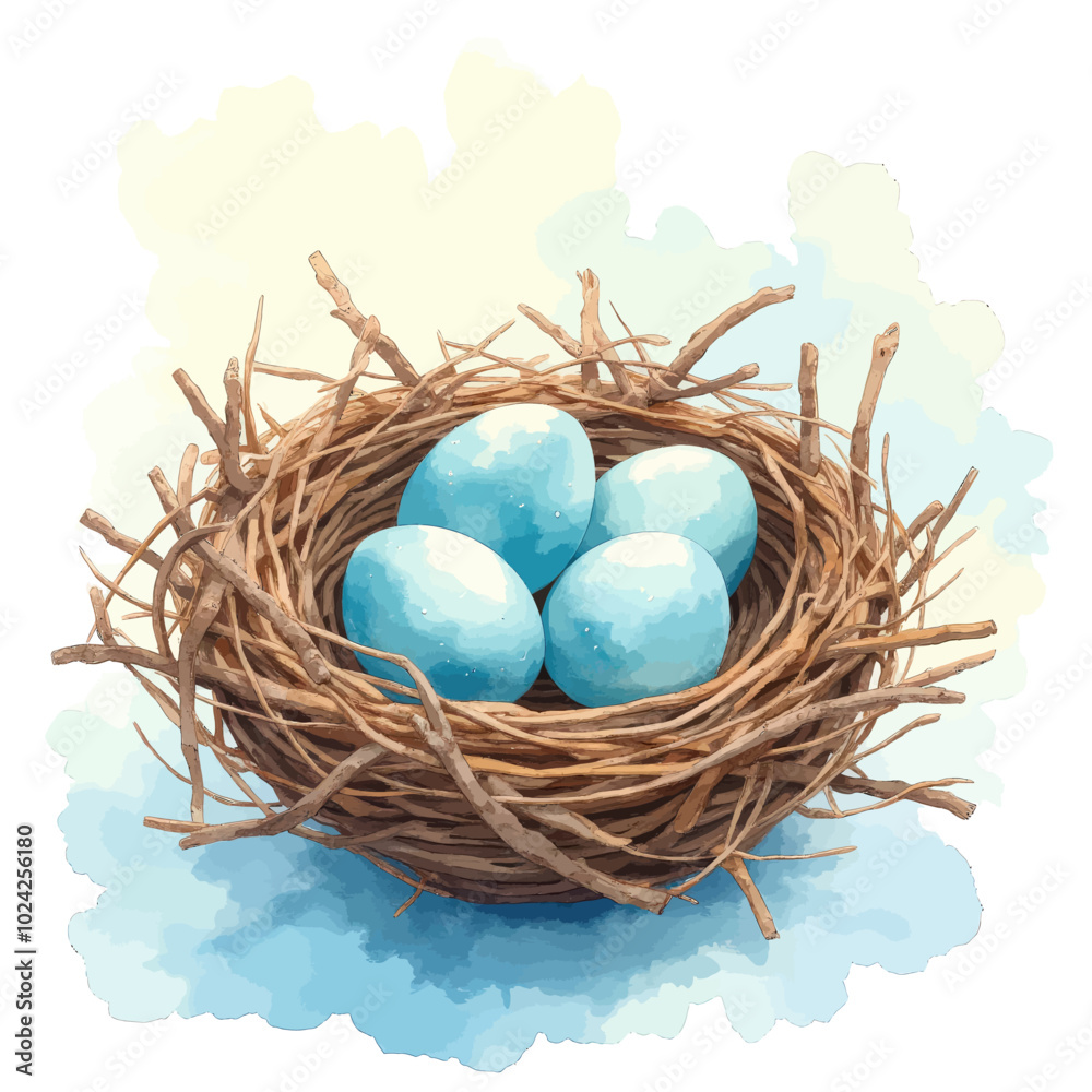 Obraz premium Blue Bird Eggs in Nest 