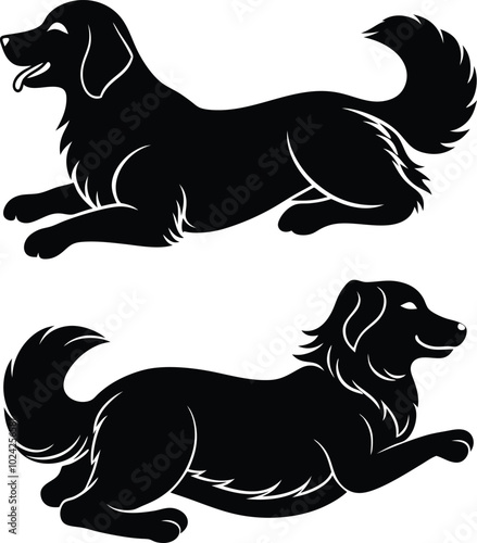 Golden Retriever vector silhouette illustration design.