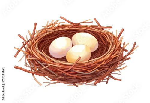 Three Eggs in Nest 
