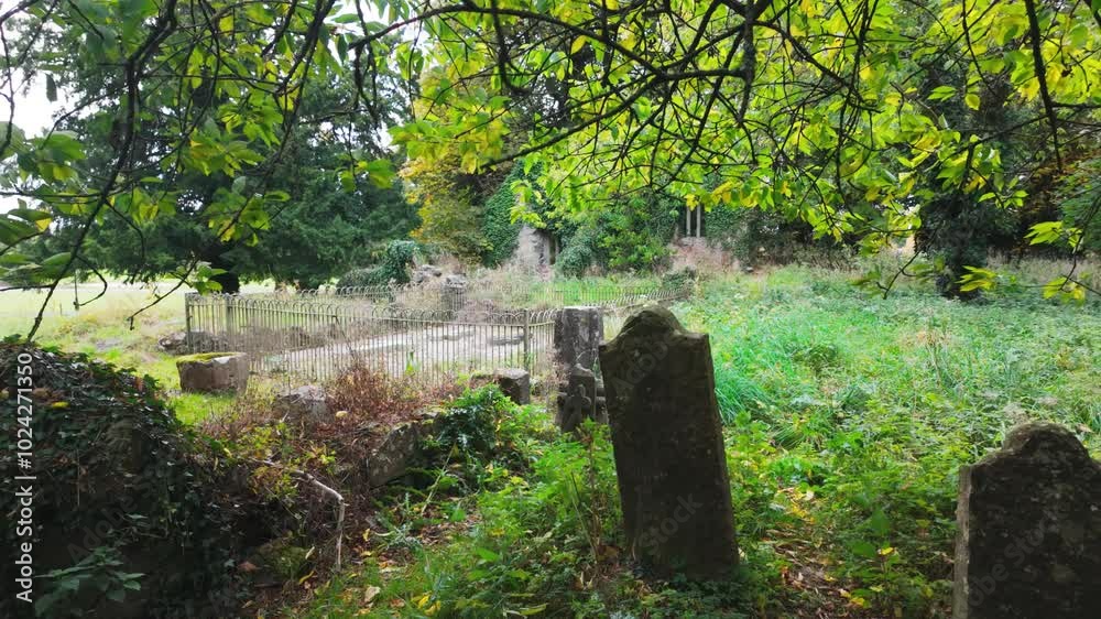 Ireland haunted places forgotten graveyard and ruins of church in Kildare tragic past and supposedly haunted Autumn Ireland haunted places forgotten graveyard and ruins of church in Kildare tragic past and supposedly haunted Autumn