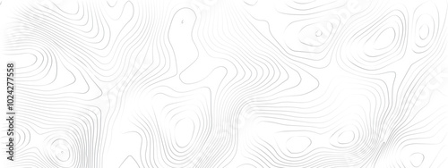 Transparent PNG Topographic line map. Modern design with White background with Topographic map background geographic line map. Modern design with White background with topographic wavy pattern design.