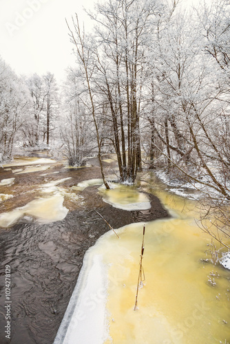 Ice floes in a river with frosty trees in the winter photo