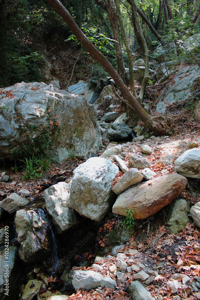 Obraz premium The path of the centaurs (after Cyclone Daniel) Portaria Pelion Greece
