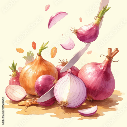 Cut Onions and Knife Illustration