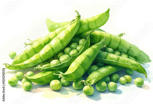 Wallpaper Mural Fresh Green Peas Illustration Torontodigital.ca