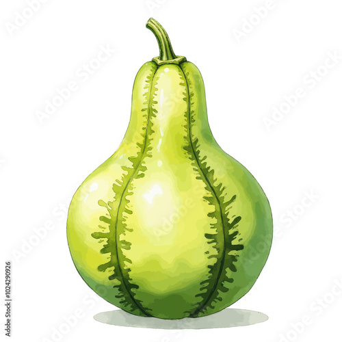 Green Gourd Illustration
