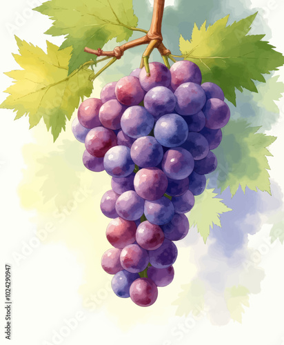 Hangin' Grapes with Green Leaves
