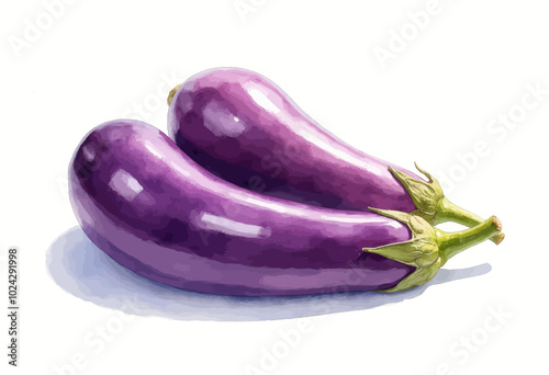 Purple Eggplants, Pair on White Background