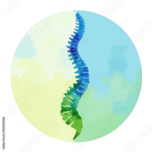 Scoliosis Spine Illustration