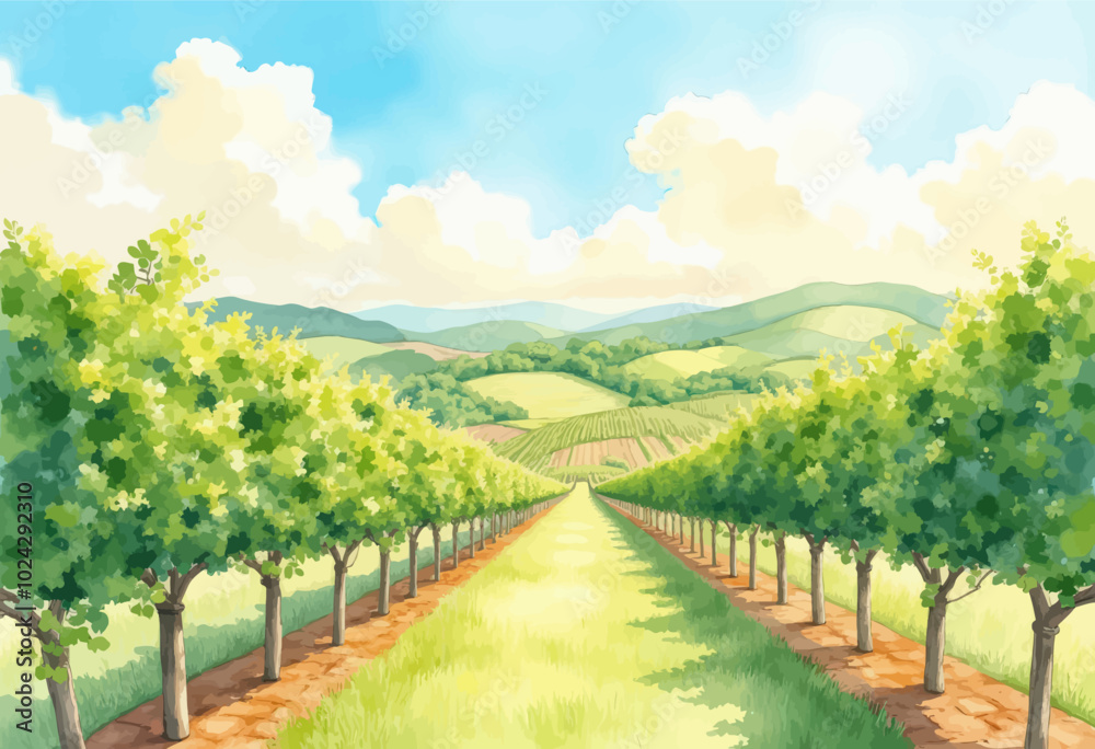 Naklejka premium Serene Vineyard Pathway