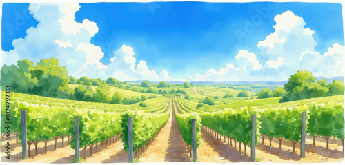 Serene Vineyard Under Blue Sky