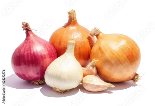Variety of Onions: Red, Yellow, White, and Shallot