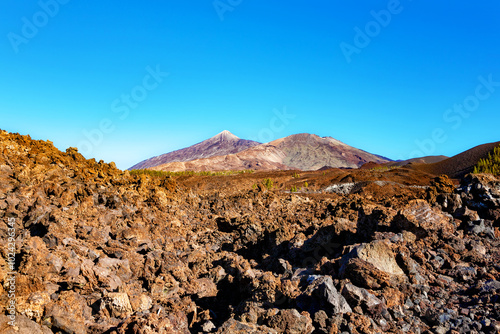El Teide National Park, Island Tenerife, Canary Islands, Spain, Europe. photo