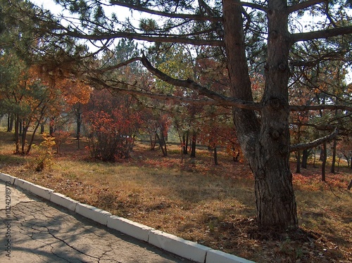 Moldova, Chisinau Agricultural Institute, corridor, buildings, trees, academic building, road, bust, church photo